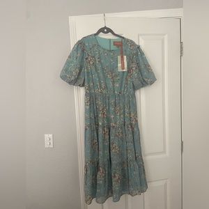 BRAND NEW JESAKAE DRESS